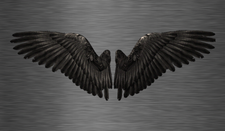 Black wings spread open against a metallic background, symbolizing the iron condor strategy in options trading.